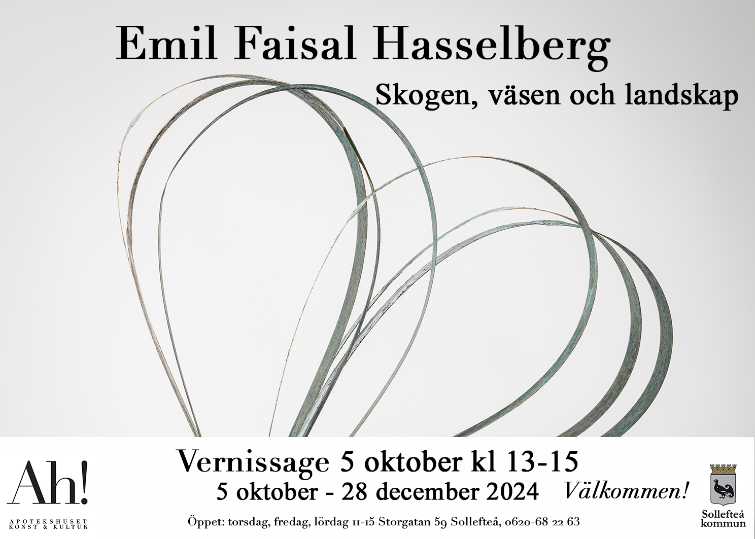 Vernissage Emil Faisal Hasselberg